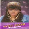 Aysel Seker - Cift Camlar