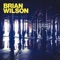 Brian Wilson Ft. She & Him - On the island