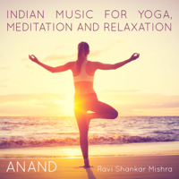 Ravi Shankar Mishra - Anand Indian Music for Yoga, Meditation and Relaxation artwork