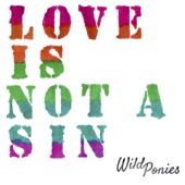Wild Ponies - Love Is Not a Sin