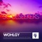 Soulseekers (Andromo Remix) - Wohlgy lyrics
