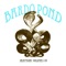 Pangolin Dance - Bardo Pond lyrics