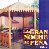 La Gran Noche de Peña, Vol. 5 artwork