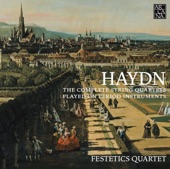 String Quartet in D Minor, Op. 9 No. 4, Hob. III:22: I. Moderato artwork