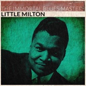 The Immortal Blues Masters (Remastered) artwork