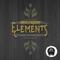 Elements (Main Mix) - Nhlokzin lyrics