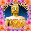 Café Buddah Best of, Vol. 5 (The Luxus Selection of Outstanding Relax Anthems)