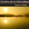 En la Selva (Musica Romantica) - Sonidos Naturales Relax lyrics