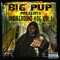 I Got It (feat. Dougie D & Wayne Bell) - Big Pup lyrics