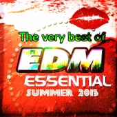 The Very Best of EDM Essential Summer 2015 (50 Top Songs Selection for DJ) artwork