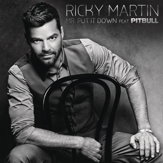 Cover artwork for Mr. Put It Down (feat. Pitbull)