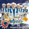 15 Corridos Norteños