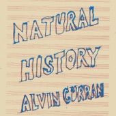 Alvin Curran - Natural History, Pt. 2