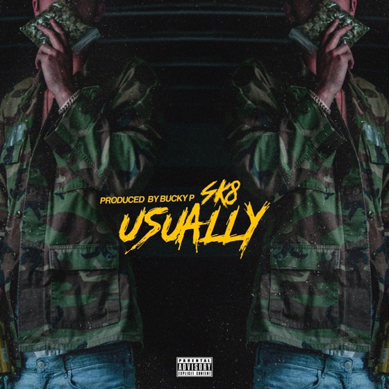 Cover artwork for Usually