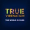 The World Is Ours - True Vibenation lyrics