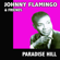 I - Johnny Flamingo