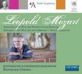 Bayerische Kammerphilharmonie & Reinhard Goebel - Symphony in G Major, LMV VII:G16 "New Lambach": I. Allegro