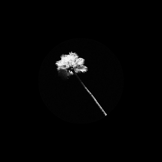 Cover artwork for Tonight