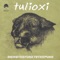 Bring the Funk to the Punk (Cannibal Ink Remix) - Tulioxi lyrics