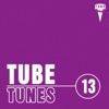 Tube Tunes, Vol. 13