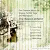 5-Element Music for Qigong, Tai Chi, Yoga and Meditation: The Wood Element - EP album lyrics, reviews, download