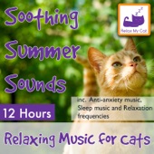 Soothing Summer Sounds: 12 Hour, Relaxing Music for Cats Inc. Anti-Anxiety Music, Sleep Music and Relaxation Frequencies artwork