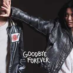 Goodbye Forever - Single - Us The Duo