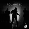 Polarized album lyrics, reviews, download