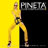 Pineta Club Compilation, Vol. 3 artwork