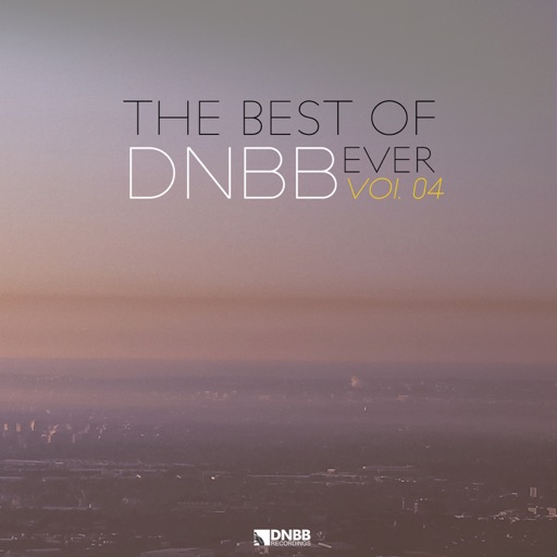 The Best of DNBB Ever, Vol. 04 by Various Artists