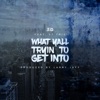 What Yall Tryin To Get Into (feat. YT Triz) - Single