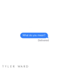 What Do You Mean? - Tyler Ward