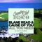 All You Need (Golf Clap Remix) - Blane Read & Cause Of You lyrics
