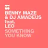Something You Know (feat. Leo) album lyrics, reviews, download
