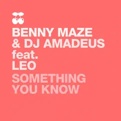 Something You Know (feat. Leo) by Benny Maze & DJ Amadeus album reviews, ratings, credits