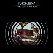 Monism artwork