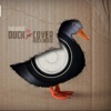 Duck on Cover, 2013