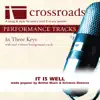 It Is Well (Made Popular by Bethel Music & Kristene Dimarco) [Performance Track] album lyrics, reviews, download
