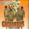 40 Exitazos