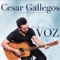 Mi Adoración (feat. Noelia Hernandez Cardona) - Cesar Gallegos lyrics