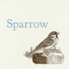 Sparrow, 2003