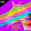 Superstition (Jason Rivas & Future 3000 Retro Edit) - Single album lyrics, reviews, download