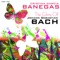 Prelude and Fugue in C Major , BWV 553 - Cristina García Banegas lyrics