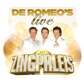De Romeo's Live In Het Zingpaleis