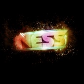 DJ Ness artwork
