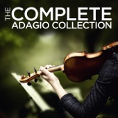 Concierto de Aranjuez for Guitar and Orchestra : 2. Adagio - Cadenza: Joaquin Rodrigo artwork