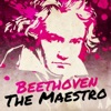 Bernard Haitink & Chicago Symphony Orchestra - Symphony No. 7 in A, Op. 92 : 2. Allegretto