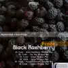 Black Rashberry album lyrics, reviews, download