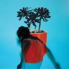 Local Natives - Dark Days