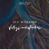 Valleys and Wonders (Live) [Deluxe] artwork